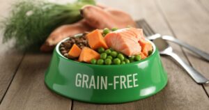 Benefits Grain-Free Diet for Allergic Dogs
