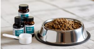 Best Digestive Enzymes for Dogs