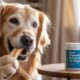 Best Digestive Enzymes for Dogs