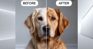 Hypoallergenic Dog Foods for Skin and Coat