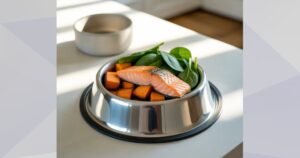 Hypoallergenic Dog Foods for Skin and Coat