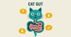 Probiotics for Cats with Digestive Issues
