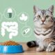 Probiotics for Cats with Digestive issues