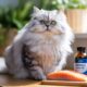 Best Fish Oil Supplements for Cats