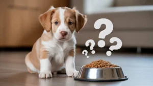 Best Puppy Food for Smooth Weaning