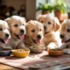 Best Puppy Food for Smooth Weaning