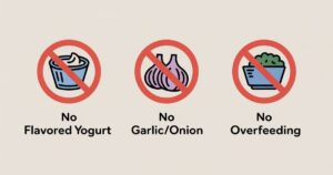 Natural Sources of Probiotics for Cats