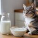 Natural Sources of Probiotics for Cats